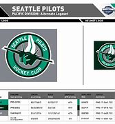 Image result for NHL Seattle Inital Logo