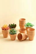 Image result for Outdoor Boxit Plant