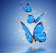 Image result for Animated Moving Butterfly Screensavers