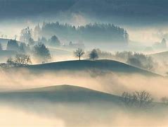 Image result for Foggy Path Landscape