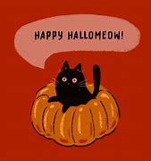 Image result for Hallowen Cat Pumpkin