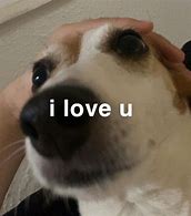 Image result for I Love You Dog Meme