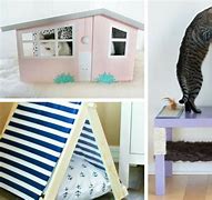 Image result for DIY Cat Furniture