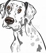 Image result for Dalmatian Sketch