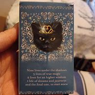 Image result for Black Cat Tarot