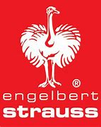 Image result for Strauss Logo with White Letters