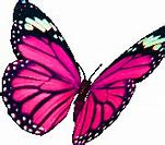 Image result for Butterfly with Glowing Effect GIF