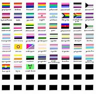 Image result for 13 LGBTQ Flags