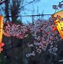 Image result for Ueno Park Hanami