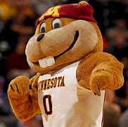 Image result for Goldy Gopher Baby