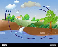 Image result for Water Cycle Illustration