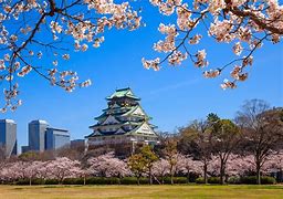 Image result for Ancient Japanese Landscape