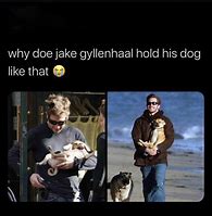 Image result for Jake Hill Meme