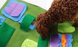 Image result for PA Door Dog Feeding Mat