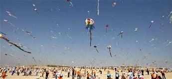 Image result for Indian Fighting Kite