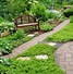 Image result for Evergreen Groundcovers Perennials