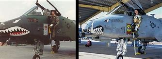 Image result for Desert Storm Warthog A-10