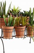 Image result for Garden Plant Stands Outdoor