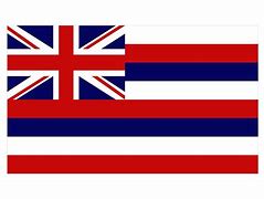 Image result for The Hawaiian Flag