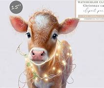 Image result for Christmas Calf