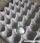 Image result for Reuse Egg Cartons