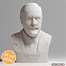 Image result for Sigmond Freud Portrait Bust