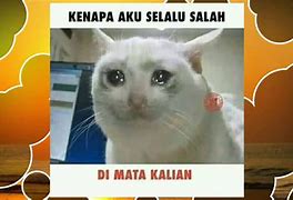 Image result for Muka Kucing Sedih Meme