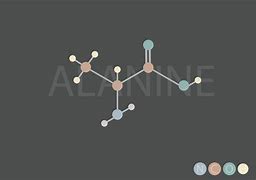 Image result for Alanine Chemical Structure