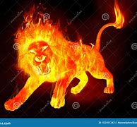 Image result for Lion Spirit Fire