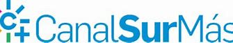 Image result for Canal Sur Logo