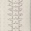 Image result for Drawing of Spine