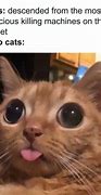 Image result for Cat as Lion Meme