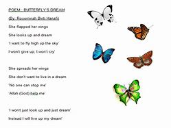 Image result for Butterfly Carrying Another Butterfly