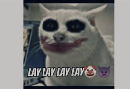 Image result for Muka Kucing Sedih Meme