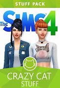 Image result for Crazy Cat Lady Stuff