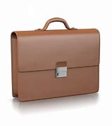 Image result for Businessman Briefcase