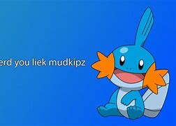 Image result for Mudkip Wallpaper 4J