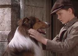 Image result for Lassie First Appearance