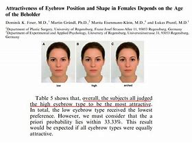 Image result for Eye Brow Set