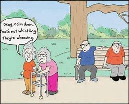 Image result for Clean Jokes for Seniors