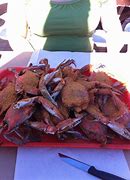 Image result for Maryland Steamed Crabs