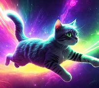 Image result for Space Cat Bounty