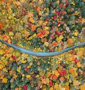 Image result for Fall Road Trip