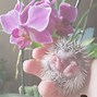 Image result for Baby Hedgehog