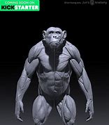 Image result for Chimp Taxonomy