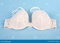 Image result for Light Pink Lace Bra