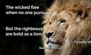 Image result for Proverbs 28 1