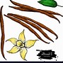 Image result for Vanilla Bean with Flower