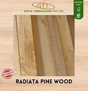 Image result for Radiata Pine Wood