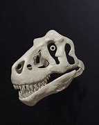 Image result for Skull Mask STL